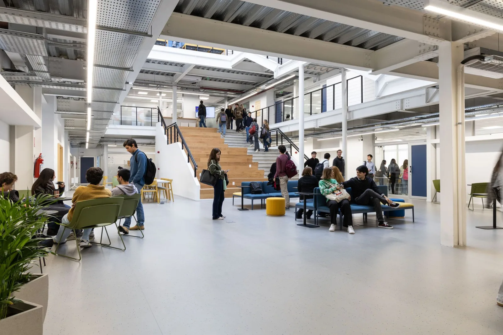 escalera-tribuna de madera del atrio de fium llena de estudiantes
