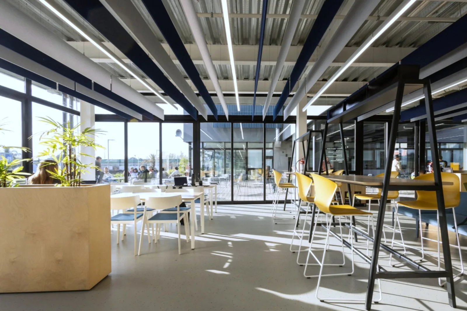 open space de fium con mesas de trabajo y luz natural